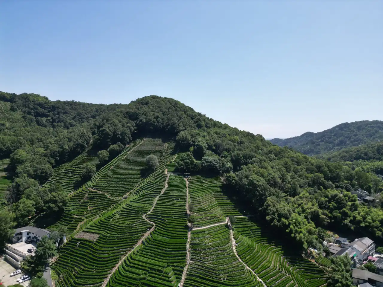 武汉办公族常见的肩颈疲劳问题，腾善堂保健教你通过经络调理科学缓解