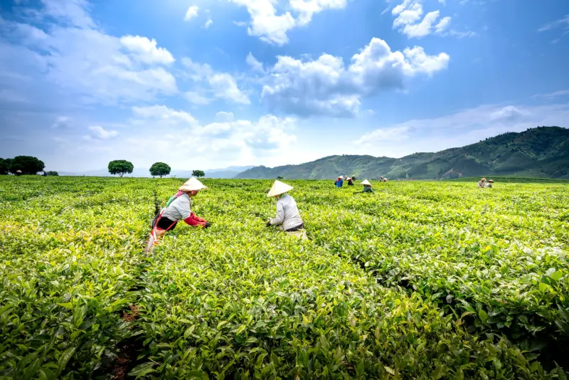 武汉腾善堂推拿按摩技术对办公族肩颈疲劳的缓解效果分析