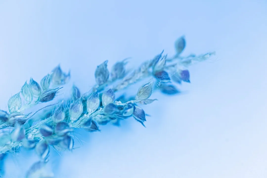 武汉腾善堂经络调理服务与传统推拿按摩的差异解析