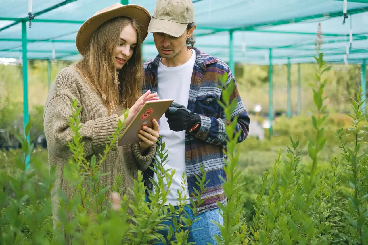 推拿按摩在亚健康调理中的应用效果与技术分析